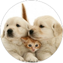 Sara Starr profile picture