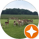 Dany A.F. profile picture